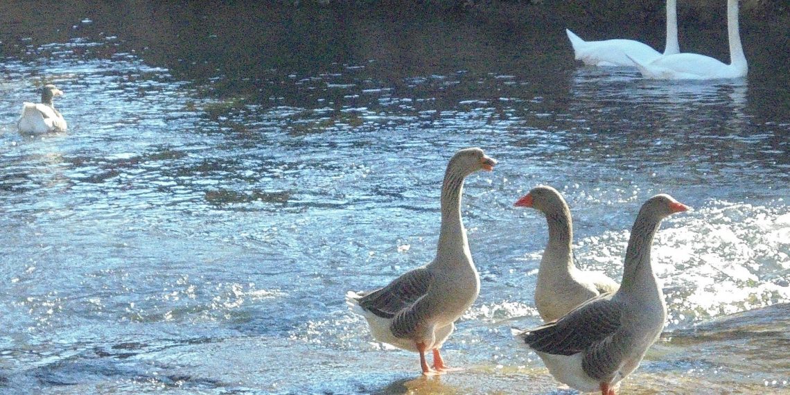 Η φωτογραφία της ημέρας για …καλημέρα