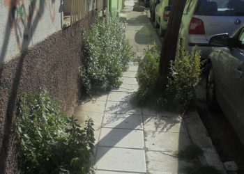 Μας κακομαθαίνετε…