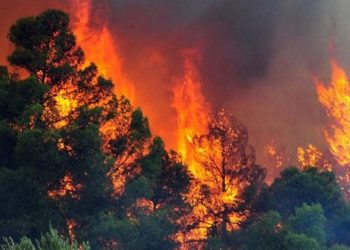 Σε επιφυλακή η Μαγνησία λόγω υψηλού κινδύνου … πυρκαγιάς