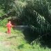 «Μάχη» με τα …κουνούπια