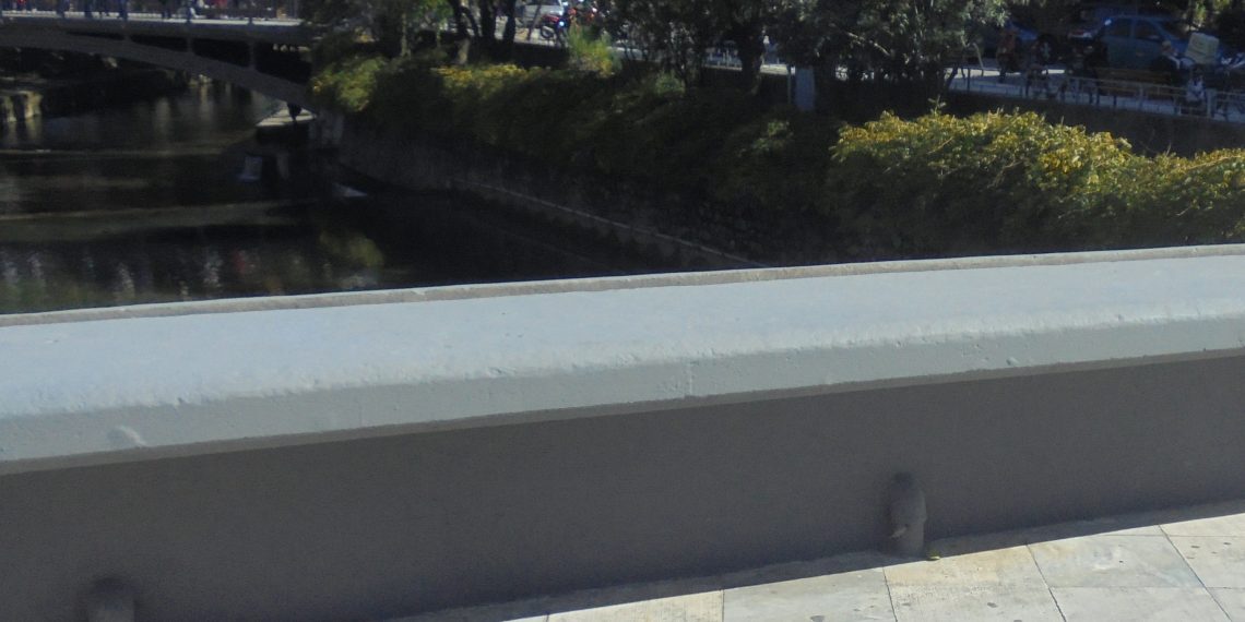 Τι ωραία να ήταν κάθε μέρα στα Τρίκαλα παραμονές …28ης Οκτωβρίου
