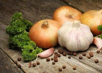 Όταν τα «αντιβιοτικά» τα δίνει η Φύση