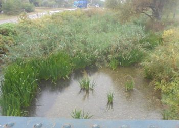 Όταν η πραγματικότητα στα Τρίκαλα …συγκρούεται με την προπαγάνδα
