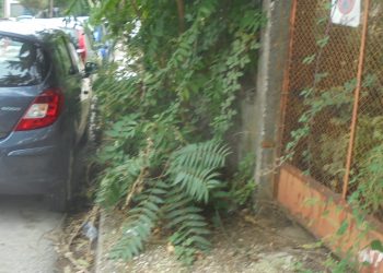 Δεν αντέχεται τόση …προσβασιμότητα