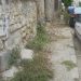 Τυχαίο;