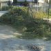Φτου και από την αρχή…