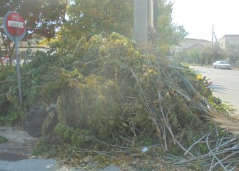Εντυπωσιακό …έκθεμα στα Τρίκαλα ενόψει …Ξωτικών
