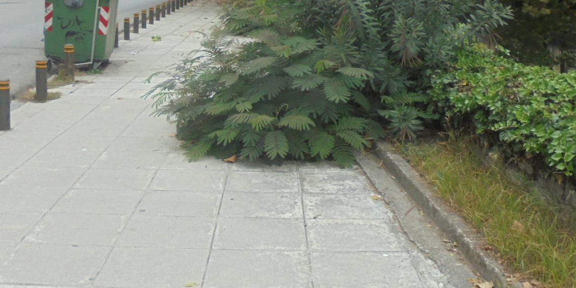 Θα τα …καλλιεργήσει;