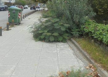 Θα τα …καλλιεργήσει;