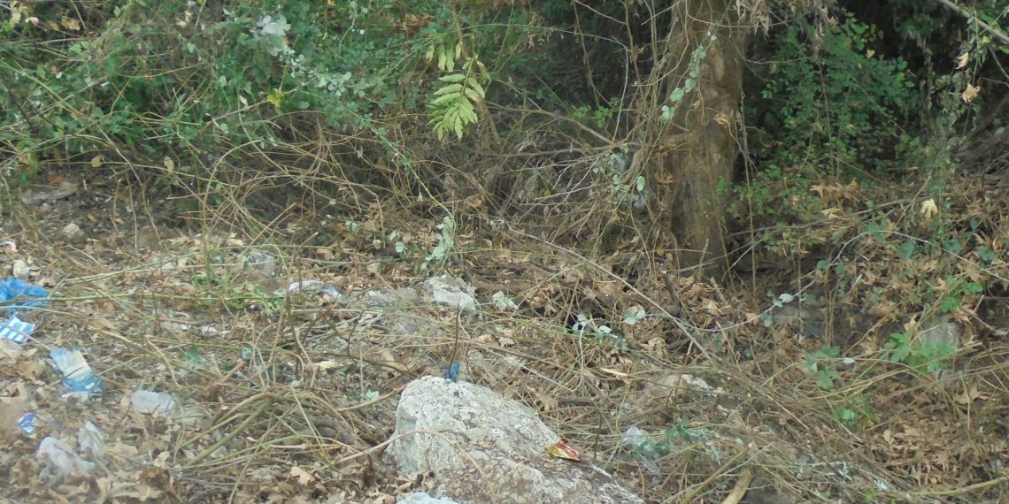 Θα μας πάρει το …ρέμα