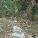 Θα μας πάρει το …ρέμα