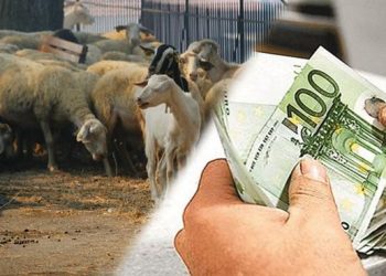 Ποσό 35.807 ευρώ σε 2 Τρικαλινούς