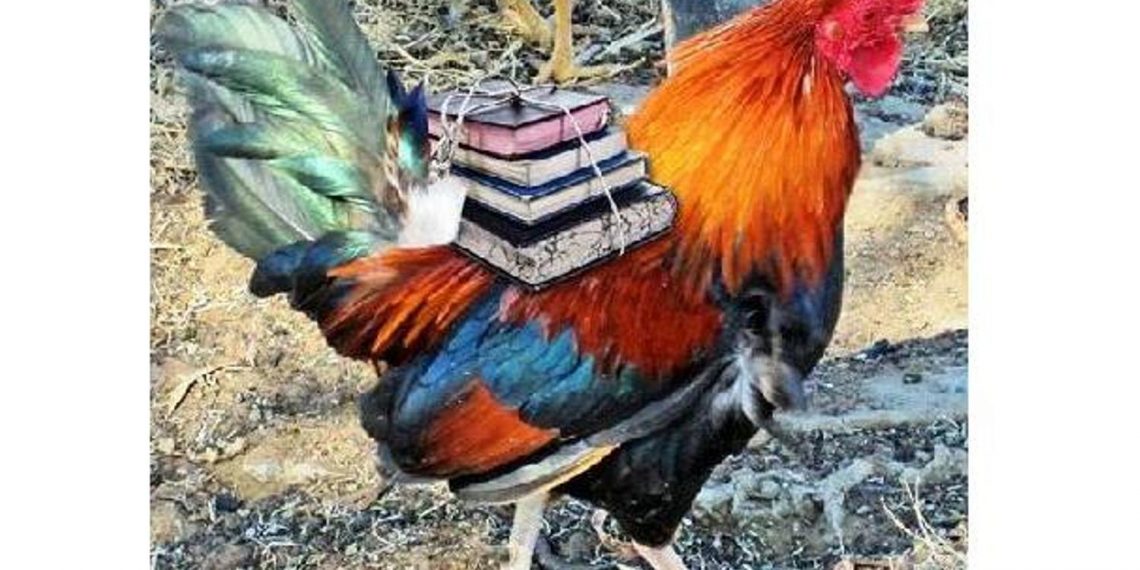 Γλιτώσαμε από τον «Ζορμπά» αλλά όχι και από τον …Γαβρόγλου