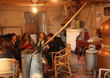 Διευκρινήσεις της ΑΑΔΕ για τους παραγωγούς τσίπουρου