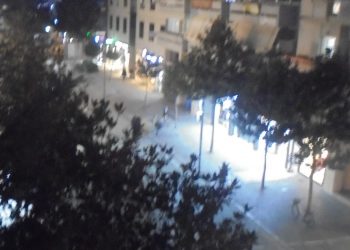 Βγήκε η … «αρκούδα»
