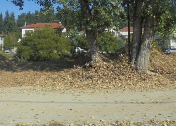 Πολύ …λάδι αλλά (μέχρι στιγμής) τίποτα από …τηγανίτα