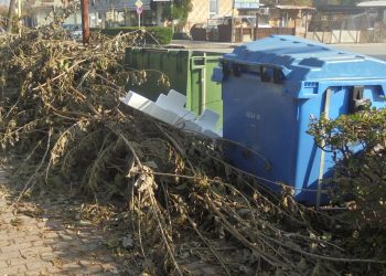 Αφήστε τα να …φυτρώσουν