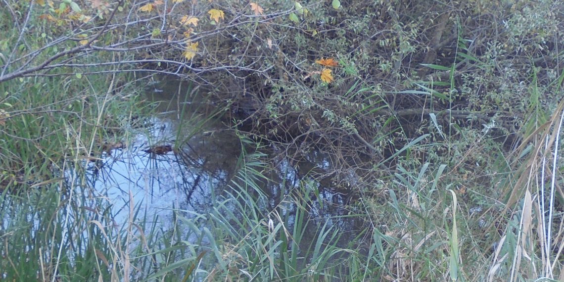 Θα στεναχωρήσω την Μάνη…