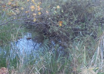 Θα στεναχωρήσω την Μάνη…