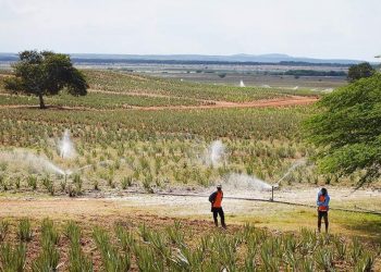 Ξεκίνησε η διαδικασία για την πιστοποίηση των Γεωργικών Συμβούλων
