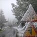 Έφτασε η μεγάλη μέρα του …Μιχαλάκη