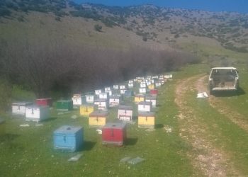 Αίτηση για να διασφαλιστούν επιδοτούμενα προγράμματα