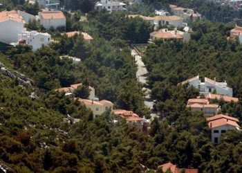 Στο επίκεντρο οι δασικοί χάρτες