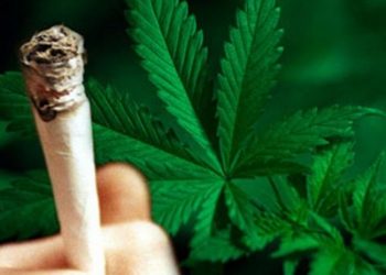 Με χασίς και …τσιγαριλίκια