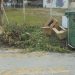 H πρώτη εικόνα…