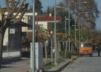 Βρέθηκε η λύση με το πρόβλημα των …φύλλων