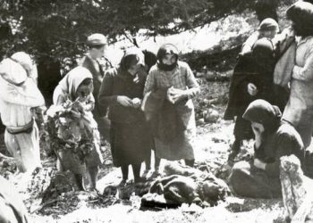 Διάκριση Τρικαλινής μαθήτριας