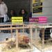 Χριστουγεννιάτικο δέντρο με …κότες από την ΠΟΕΔΗΝ