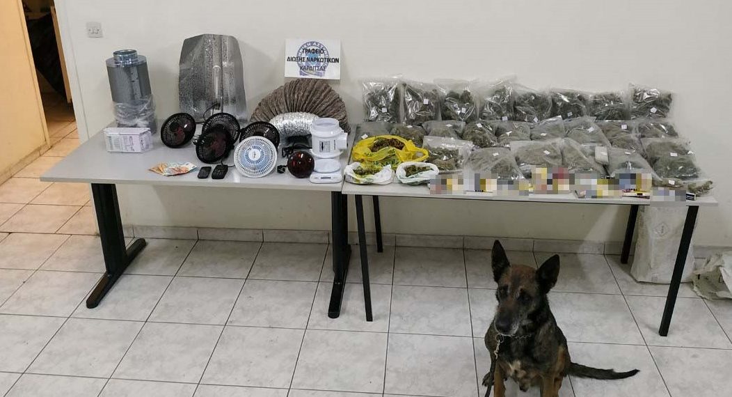 Μετά την αγοραπωλησία ακολούθησε ο …σκύλος