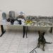 Μετά την αγοραπωλησία ακολούθησε ο …σκύλος