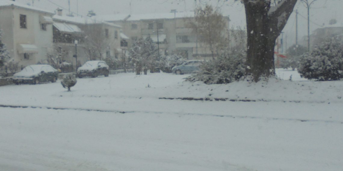 Απαράδεκτοι και επικίνδυνοι για τους πολίτες οι χειρισμοί της Δημοτικής Αρχής Τρικκαίων