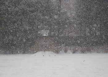 Χιονόπτωση στον Δήμο Πύλης και χιονόνερο στα Τρίκαλα