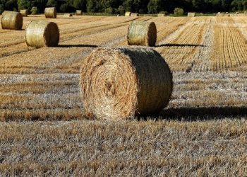 Όχι μόνο …Κολυμβητήριο αλλά και …αεροδρόμιο μέχρι τον …Μάϊο στα Τρίκαλα
