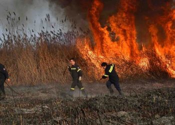 Αντίστροφη μέτρηση για αποζημιώσεις από …πυρκαγιές