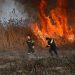 Αντίστροφη μέτρηση για αποζημιώσεις από …πυρκαγιές