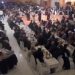 Ήττα της Ν.Δ. στον Νομό Τρικάλων