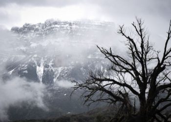 Τους …ματαίωσε η … «Ωκεανίς»