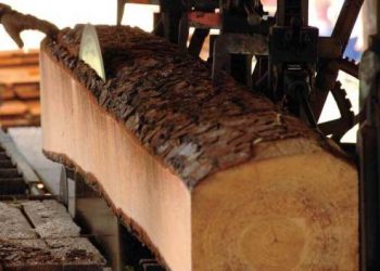 Υποστηρίζουμε την ισχυροποίηση της Κρατικής Βιομηχανίας Ξύλου στην Καλαμπάκα
