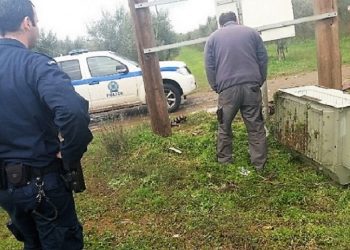 Κόστισε ακριβά η κλοπή περιουσιακού στοιχείου της ΔΕΗ