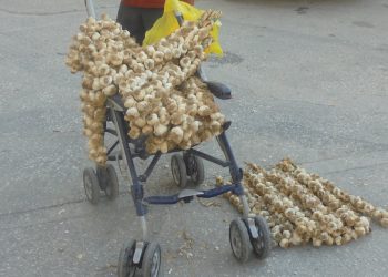 Ανατροπή στα σχέδια Υποψηφίου Δημάρχου στον Νομό Τρικάλων