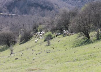 Ακόμα λίγες ημέρες…