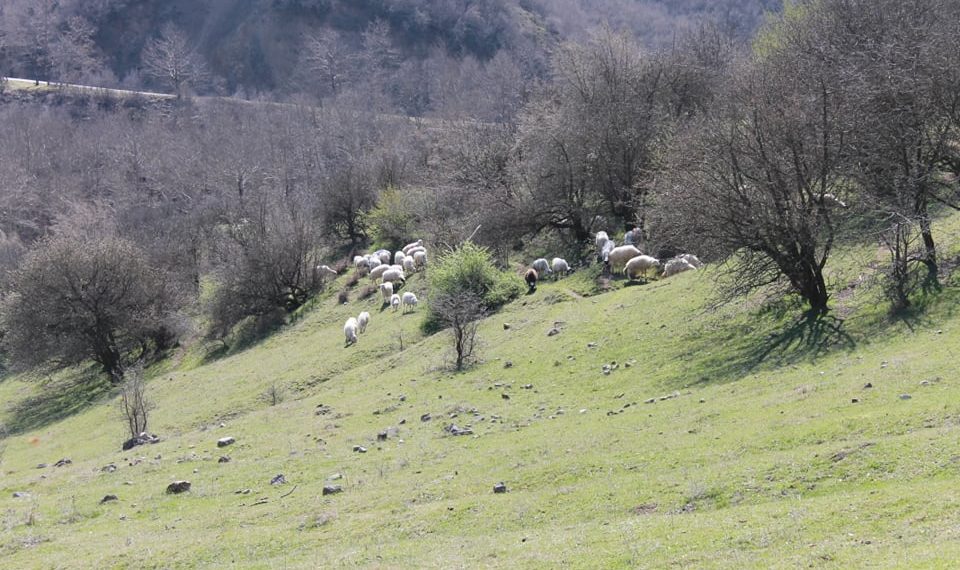 Ακόμα λίγες ημέρες…