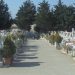 Τρίκαλα: Η πόλη με τον δικό της …Κ.Ο.Κ.