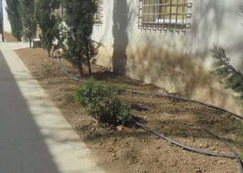 Επιχείρηση …καθαριότητα