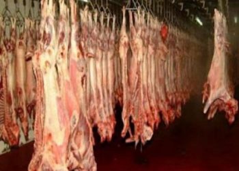 Πάσχα με …κλεμμένα αμνοερίφια