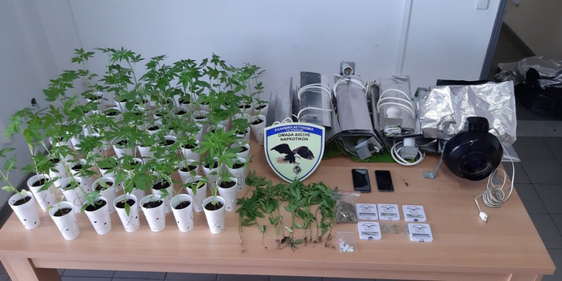 Τα …γλαστράκια των Τρικάλων